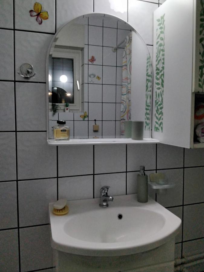 Fina Apartman Leskovac  Exterior foto